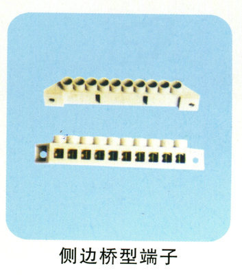 樂清廠家直銷側邊橋型端子 連接器領域的高性價比解決方案